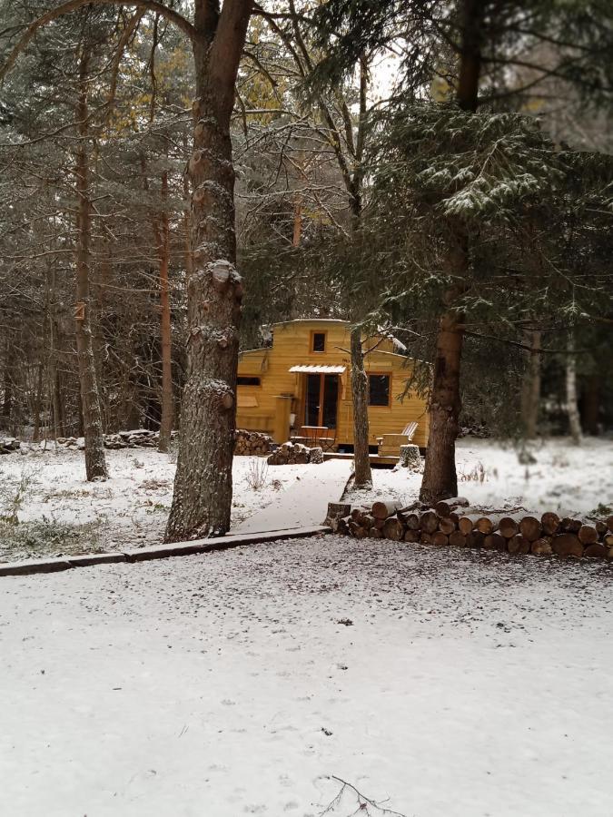 Chalet Cricri Avec Mezzanine *