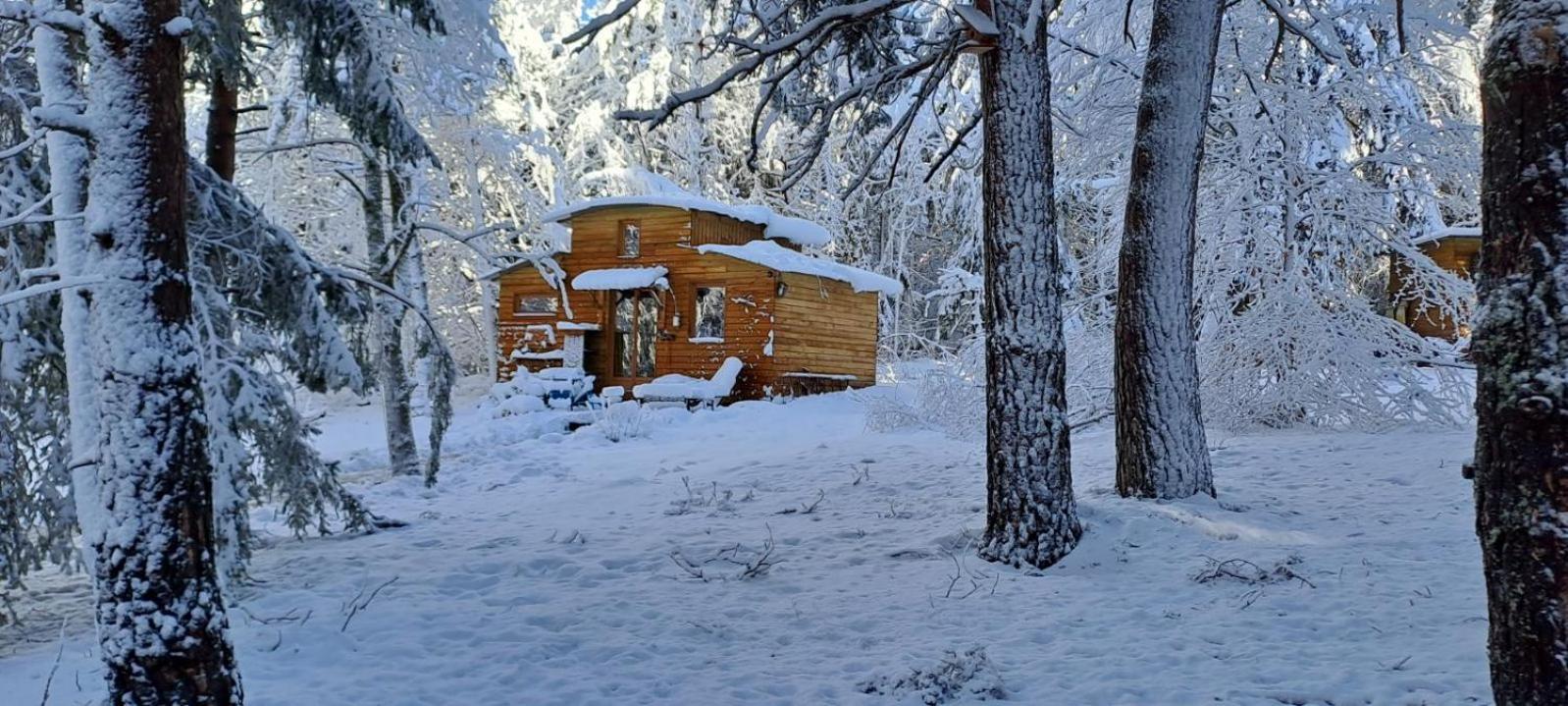 Cricri Avec Mezzanine Chalet Champclause